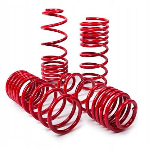 MTS Mercedes-Benz lowering springs