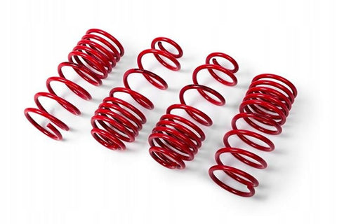 MTS Mercedes-Benz lowering springs